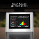 Cereslux Grow Light Controller Connection Ports Diagram Showing DC12V Output Ports and Sensor Jacks