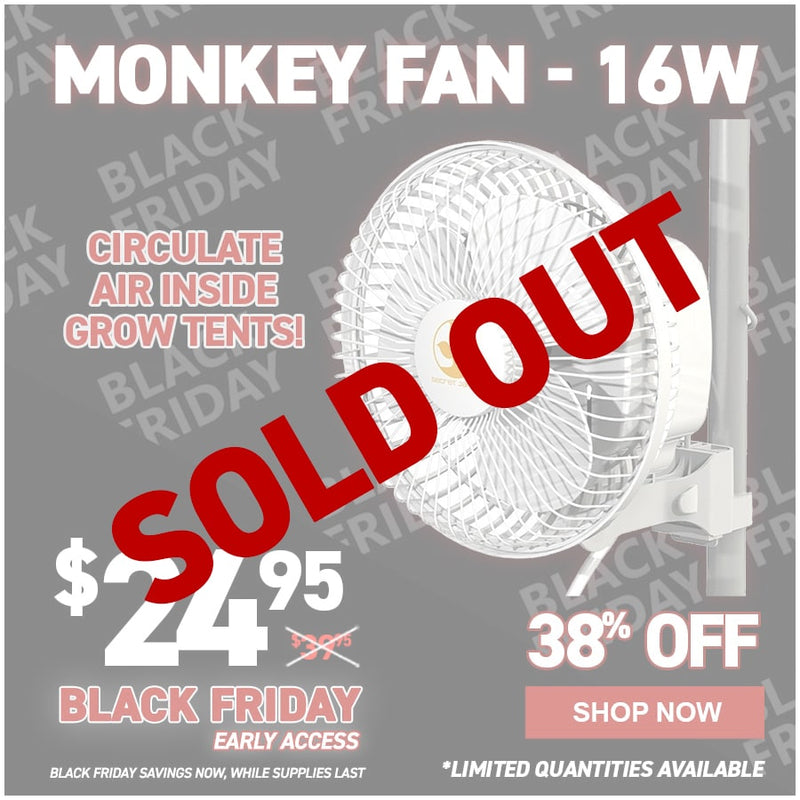 Monkey Fan - 16W