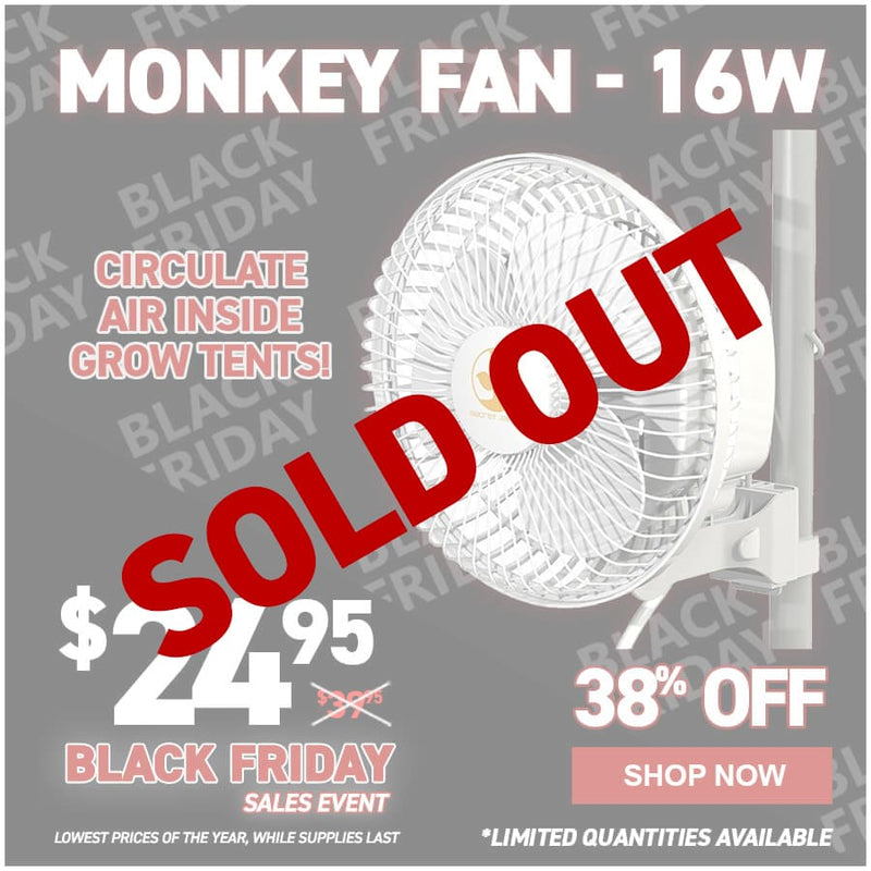 Monkey Fan - 16W