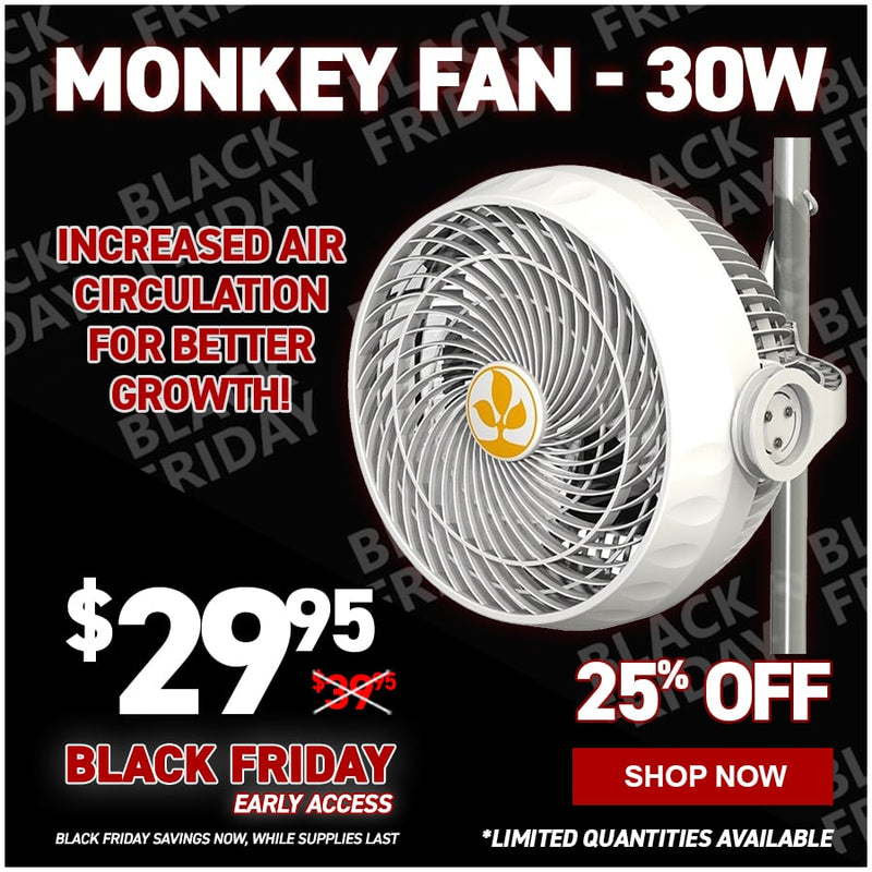 Monkey Fan - 30W