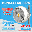 Monkey Fan - 30W