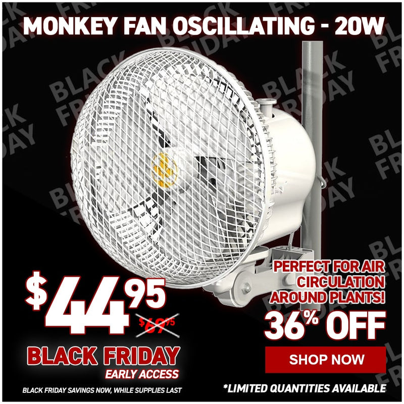 Monkey Fan Oscillating - 20W