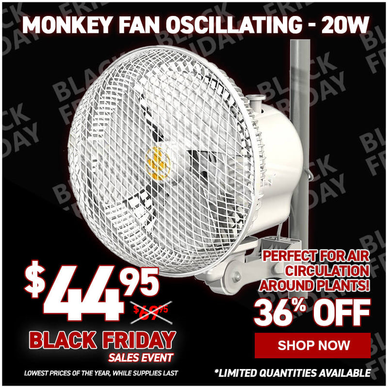 Monkey Fan Oscillating - 20W