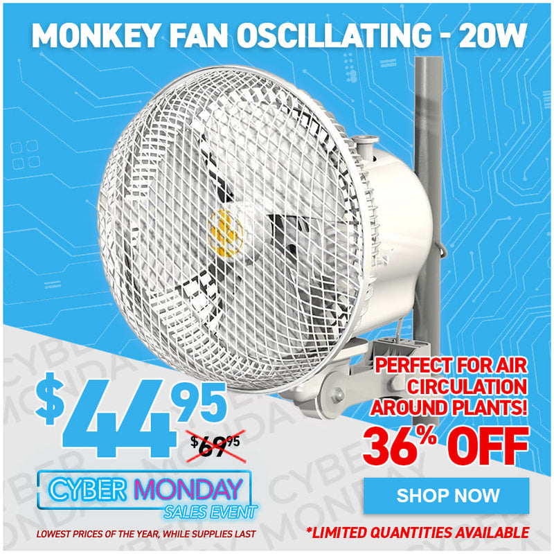 Monkey Fan Oscillating - 20W