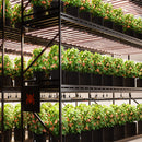 Spider FarmerG1200W 2026 Dimmable Full Spectrum 4 X 6 ft LED Grow Light