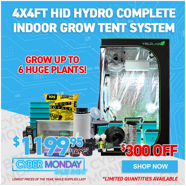 4x4ft HID Hydro Complete Indoor Grow Tent System