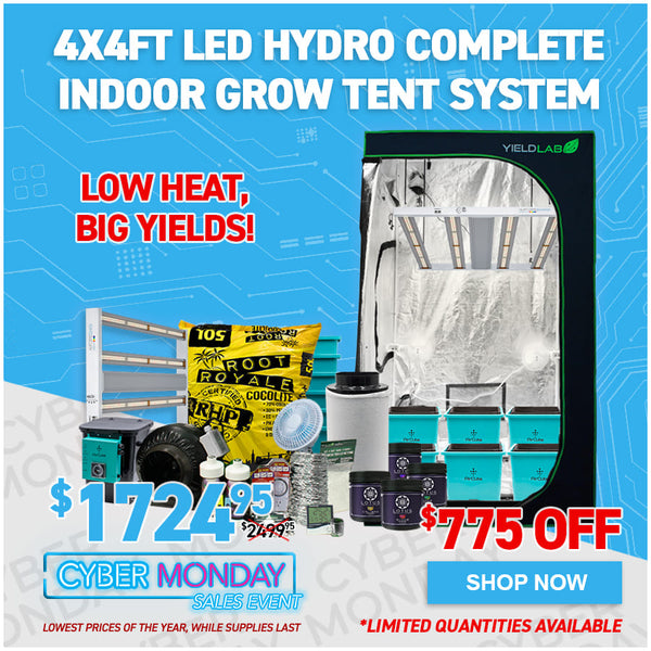 4x4ft LED Hydro Complete Indoor Grow Tent System