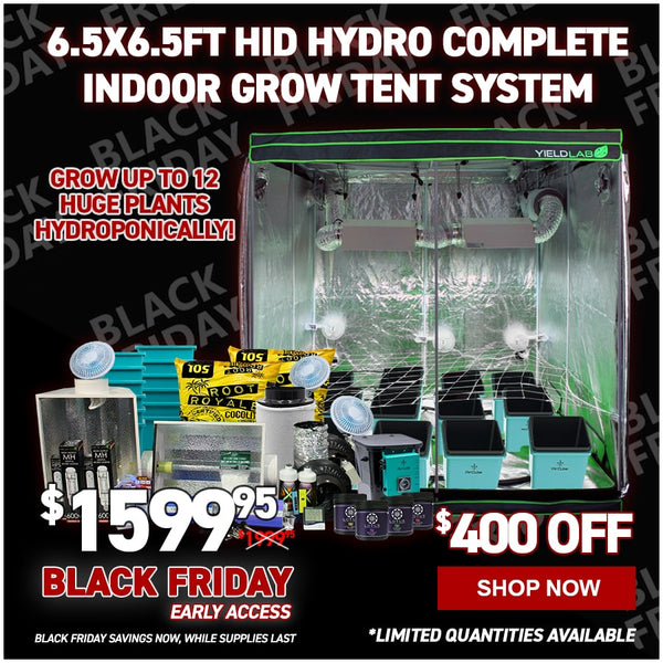 6.5x6.5ft HID Hydro Complete Indoor Grow Tent System