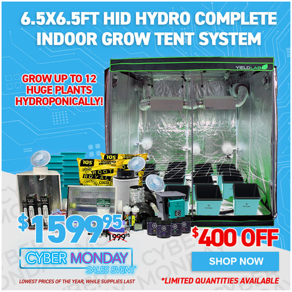 6.5x6.5ft HID Hydro Complete Indoor Grow Tent System