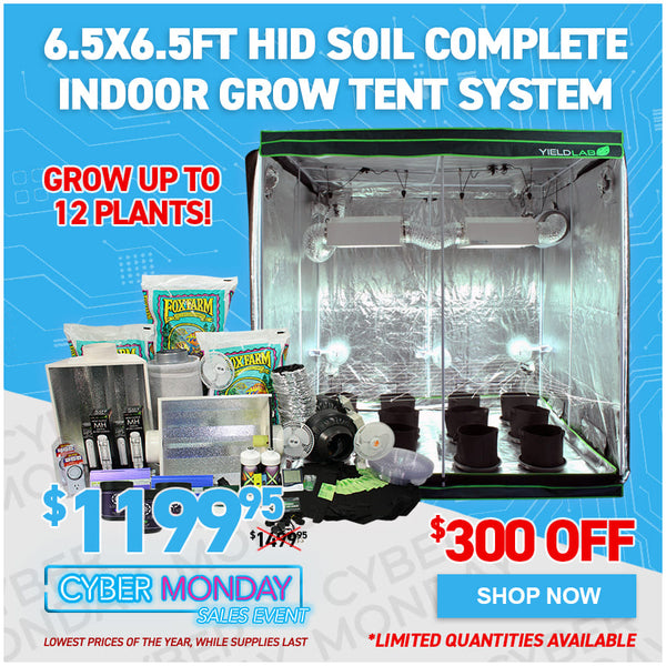 6.5x6.5ft HID Soil Complete Indoor Grow Tent System