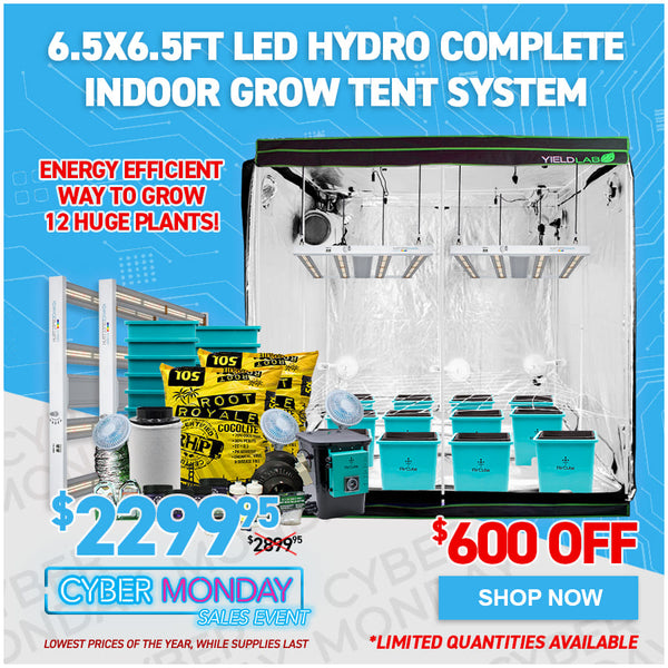 6.5x6.5ft LED Hydro Complete Indoor Grow Tent System