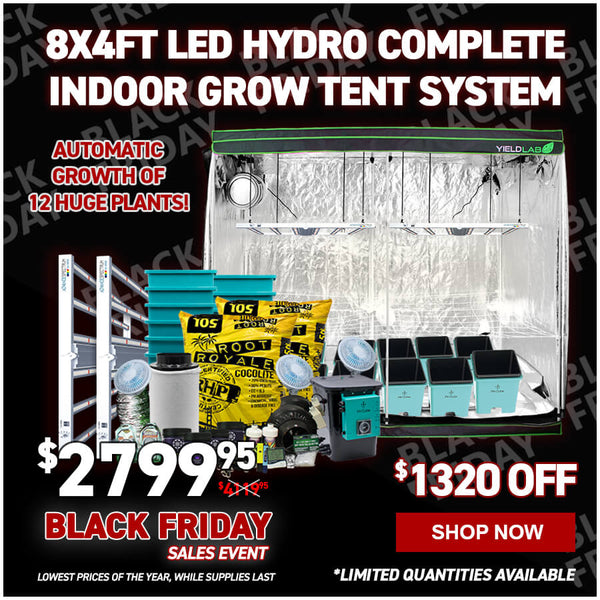 8x4ft LED Hydro Complete Indoor Grow Tent System