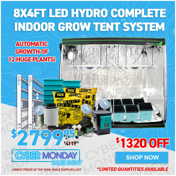 8x4ft LED Hydro Complete Indoor Grow Tent System