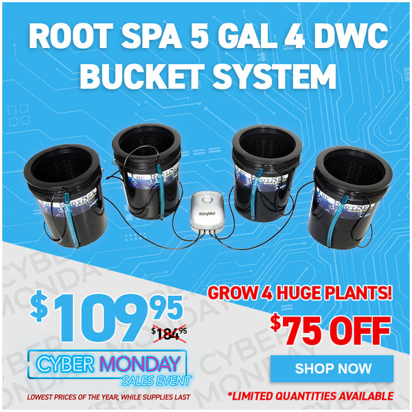 Root Spa 5 Gal 4 DWC Bucket System