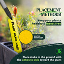 Horticulture Catchmaster Dual Action Plant Stakes Placement Methods Front Angle