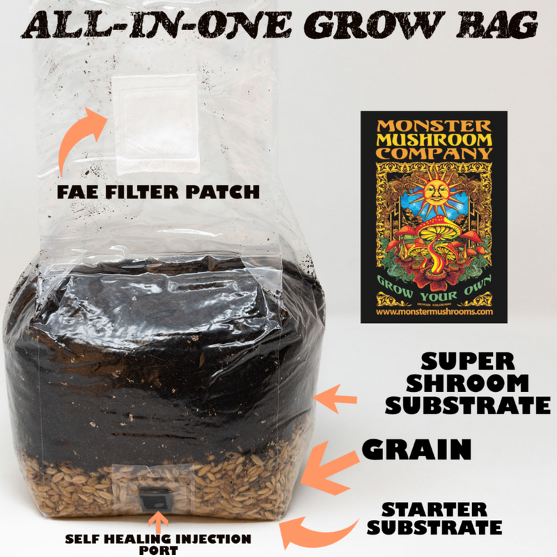 Horticulture Grow Mycology MMC All-in-One Grow Bag Main