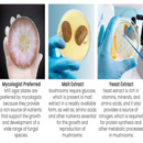 Horticulture Grow Mycology Olympus Myco Agar Uses