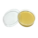 Horticulture Grow Mycology Olympus Myco Agar Main