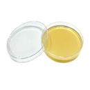 Horticulture Grow Mycology Olympus Myco Agar Main