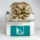 Horticulture Grow Mycology Olympus Myco Pasteurized Substrate Box
