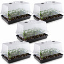 Horticulture Grow Propagation Yield Lab Tray Dome Combo Main