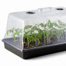 Horticulture Grow Propagation Yield Lab Tray Dome Combo With Plants Close Up