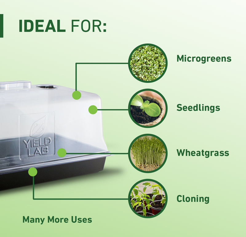 Propagation Grow Yield Lab Tray and Dome Combo Uses