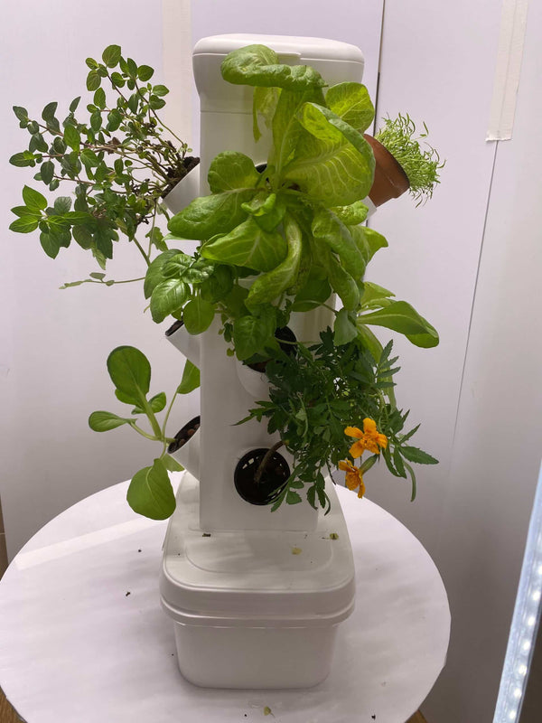 Hydroponic Grow Exotower Mini 12 Plants