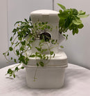 Hydroponics Grow Exotower Mini 4 Main