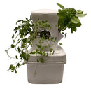 Hydroponics Grow Exotower Mini 4 Plants