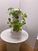 Hydroponics Grow ExoTower Mini 8 Plants