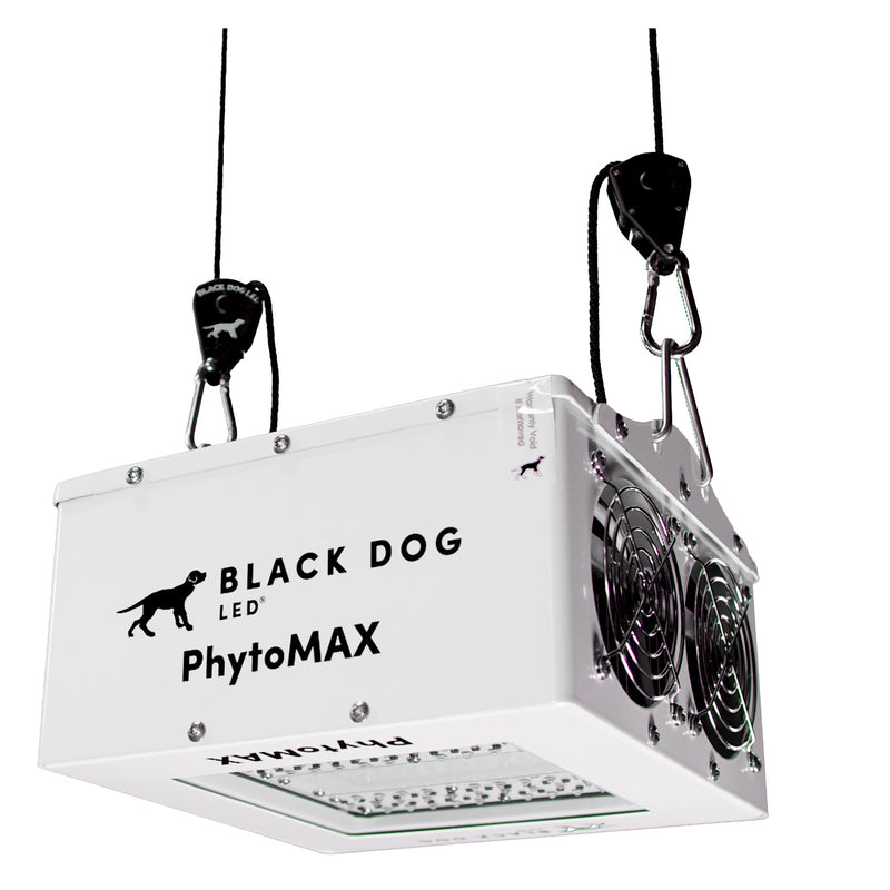 Black Dog 125W PhytoMax-4 2S LED Grow Light