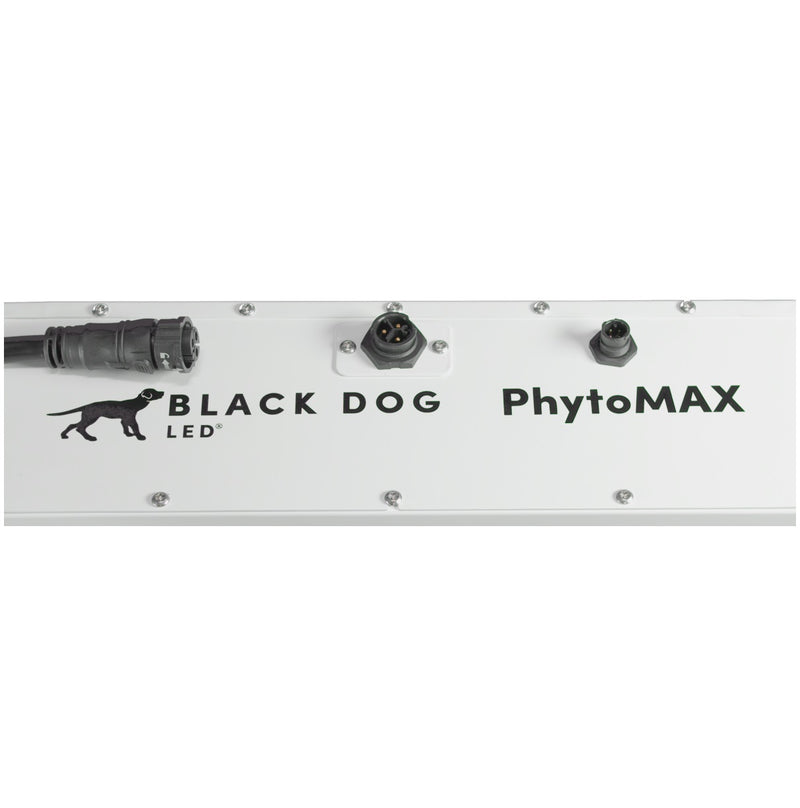 Black Dog 250W PhytoMax-4 4S LED Grow Light
