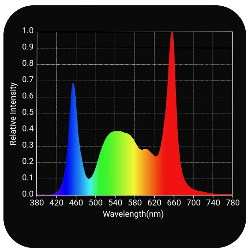 LED Grow Light HLG Tomahawk 720 Spectrum