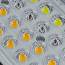 LED Grow Light Scynce Raging Kale 2 Diodes