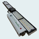 LED Grow Light Scynce Raging Kale 2 Main