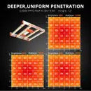 Spider Farmer 300W G3000 Full Spectrum Dimmable LED Grow Light