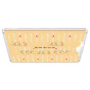 Spider Farmer 100W SF1000D Full Spectrum LED Grow Light