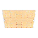 Spider Farmer 450W SF4000 LED Grow Light System