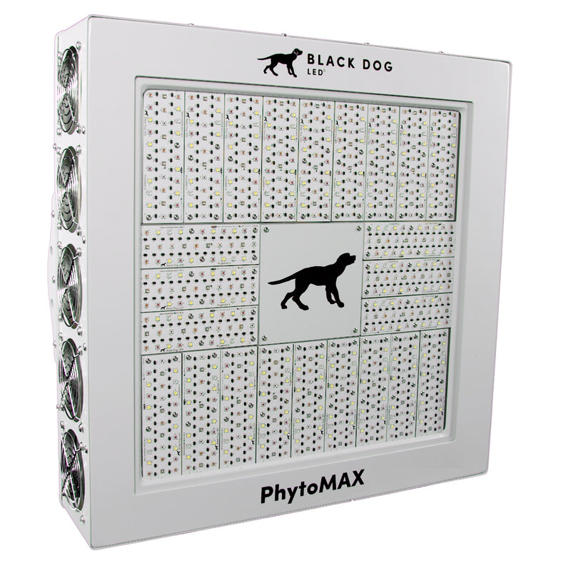 LED Black Dog Phytomax4 24S Bottom View
