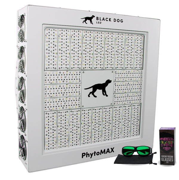 LED Black Dog Phytomax4 24S Free Glasses