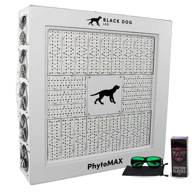 LED Black Dog Phytomax4 24S Free Glasses