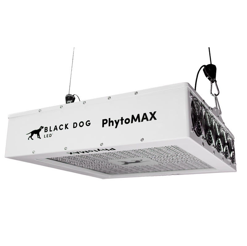 LED Black Dog Phytomax4 24S Hang VIew