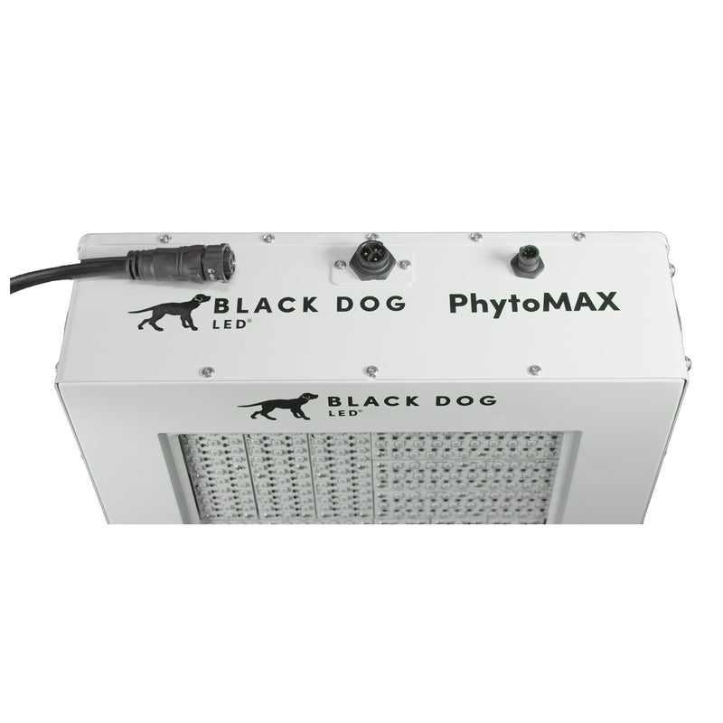 LED Black Dog Phytomax4 24S SC Model