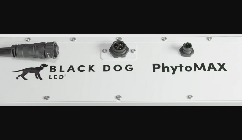 LED Black Dog Phytomax4 24S SC Power Model
