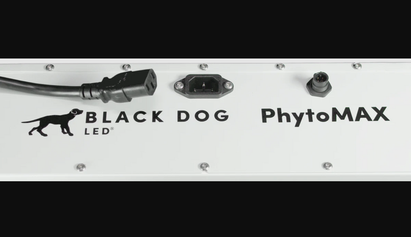 LED Black Dog Phytomax4 24S SP Power Model