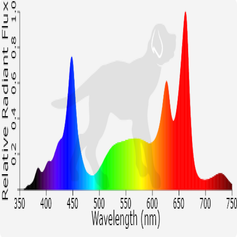 LED Black Dog Phytomax4 24S Spectrum