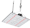 LED Crecer Lighting QuantumX 100