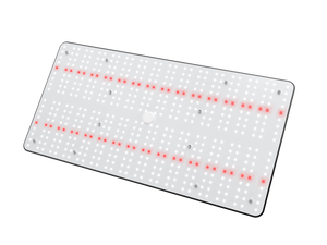 LED Crecer Lighting QuantumX 240
