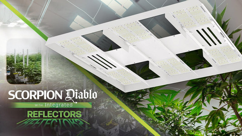 LED HLG Scorpion Diablo 715W Adds 2
